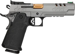 Kimber 2K11 Stainless Target 2011 pistol